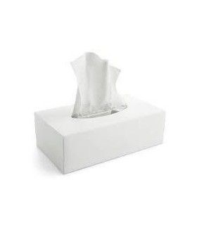 Caja dispensadora pañuelos (80 unid.)