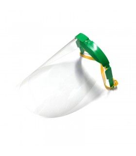 PROTECTIVE MASK WITH INTERCHANGEABLE SHIELD