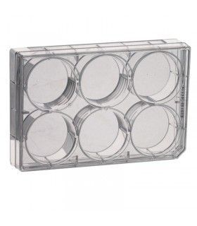 PLACA DE CULTIVO 6 POCILLOS, PS ESTÉRIL 85,4x127,6mm CON TAPA Y FONDO PLANO (50 UNID)