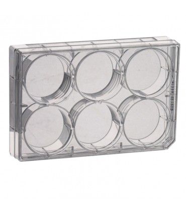 PLACA DE CULTIVO 6 POCILLOS, PS ESTÉRIL 85,4x127,6mm CON TAPA Y FONDO PLANO (50 UNID)