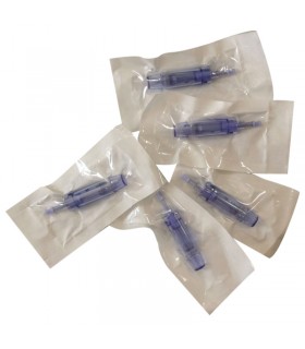 12-NEEDLE HEAD_PEN MICRONEELING