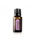 PATCHOULI ESSENTIAL OIL (20 ML)