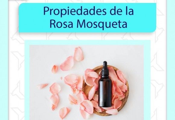 Propiedades de la rosa mosqueta