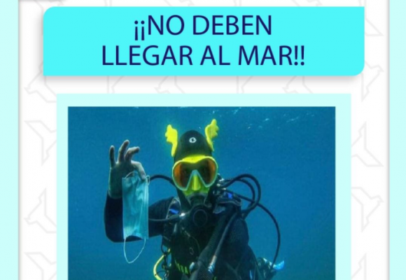 No deben llegar al mar