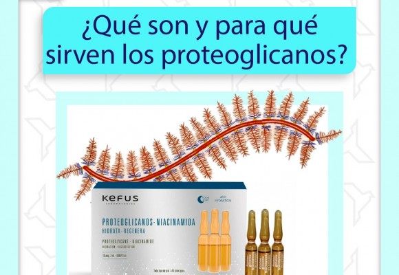 ¿Qué son y para qué sirven los proteoglicanos?