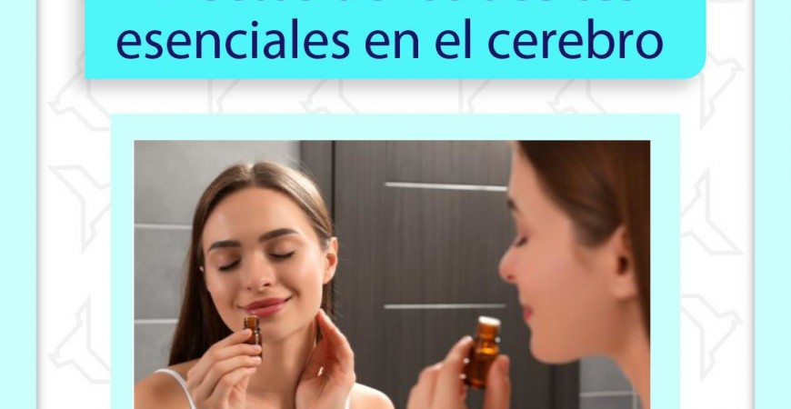 Efectos de los aceites esenciales en el cerebro