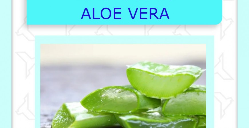 Beneficios del ALOE VERA en la cara
