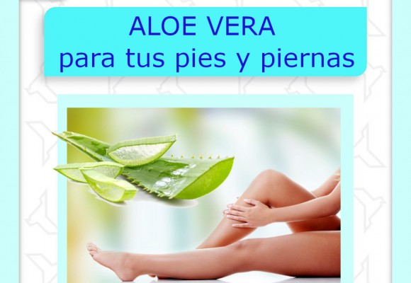 Aloe vera para tus pies y piernas