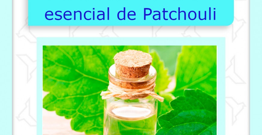 Descubre los increíbles beneficios del aceite esencial de patchouli 
