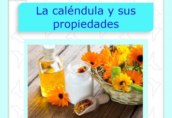 La caléndula y sus propiedades
